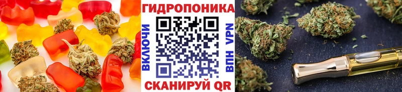 Купить где  Миасс  Canna-Cookies конопля 