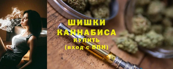 ALPHA PVP Коряжма