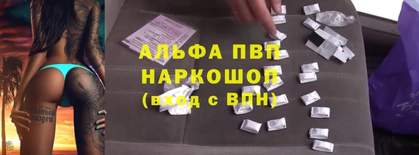 каннабис Корсаков
